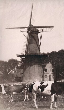 Historisch Delfshaven: de Hoop