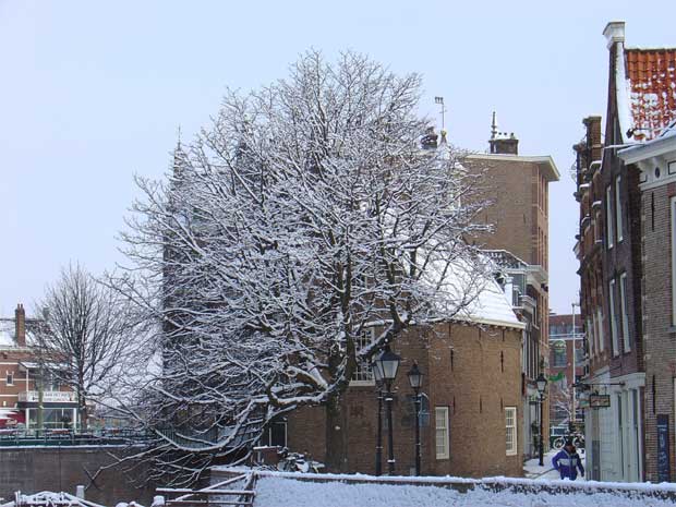 Historisch Delfshaven: De kastanjeboom naast het Kraanhuis op de eerste sneeuwdag
